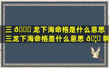 三 🍀 龙下海命格是什么意思（三龙下海命格是什么意思 🦍 啊）